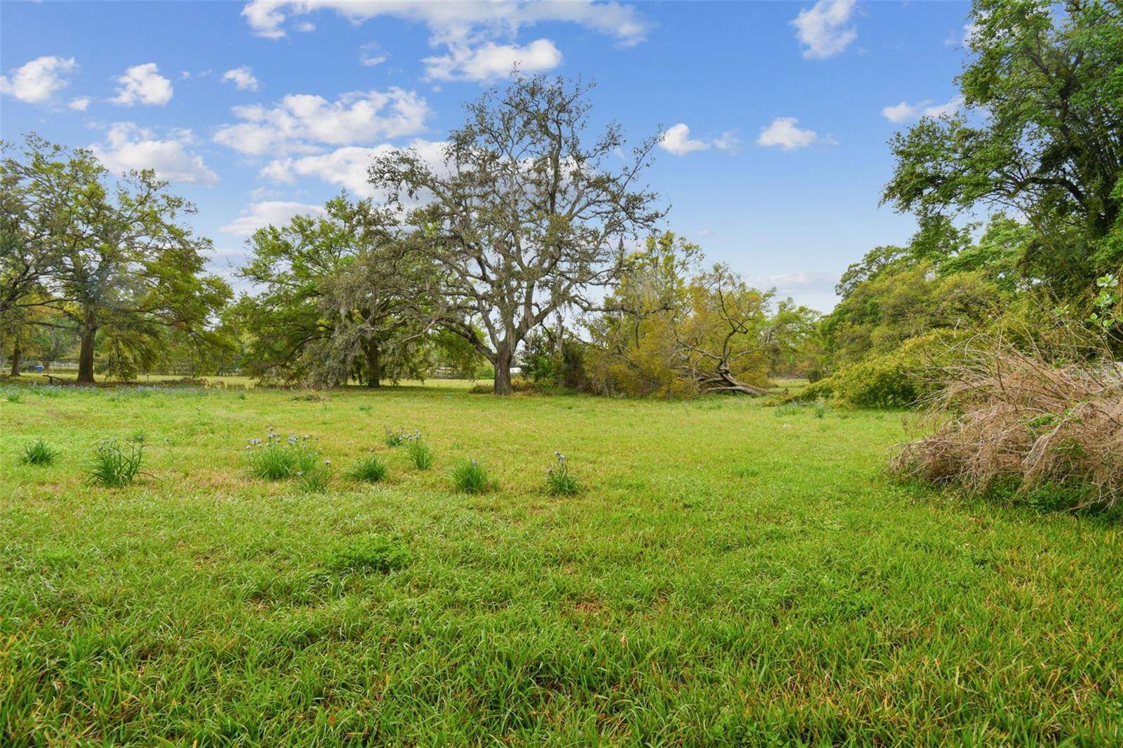 S TAYLOR RD, Seffner, FL 33584