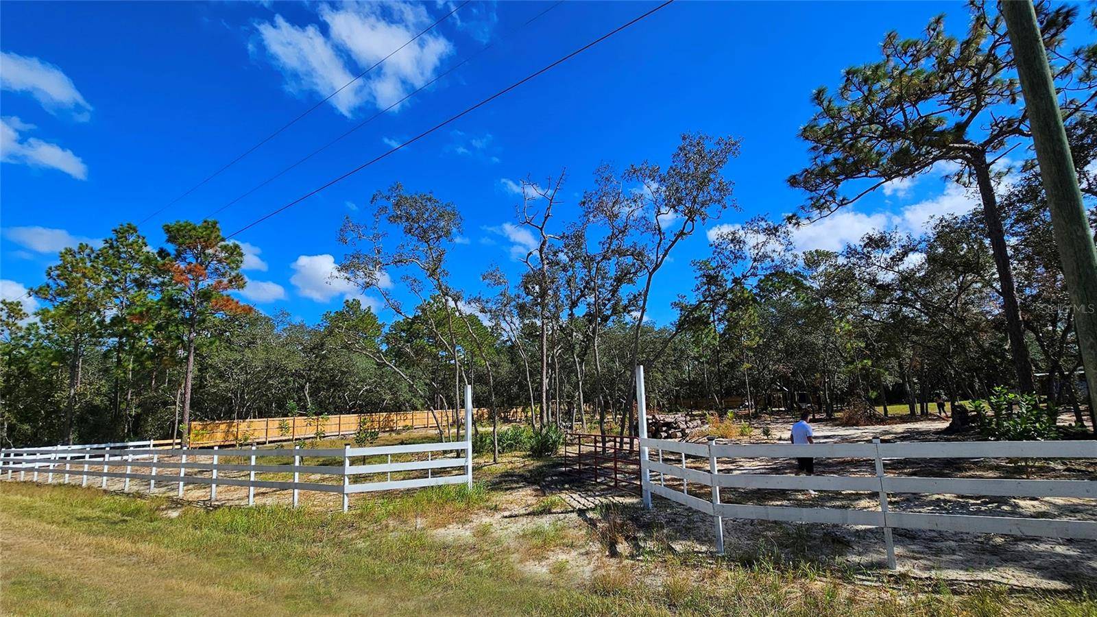 16266 NIGHT HERON RD, Weeki Wachee, FL 34614