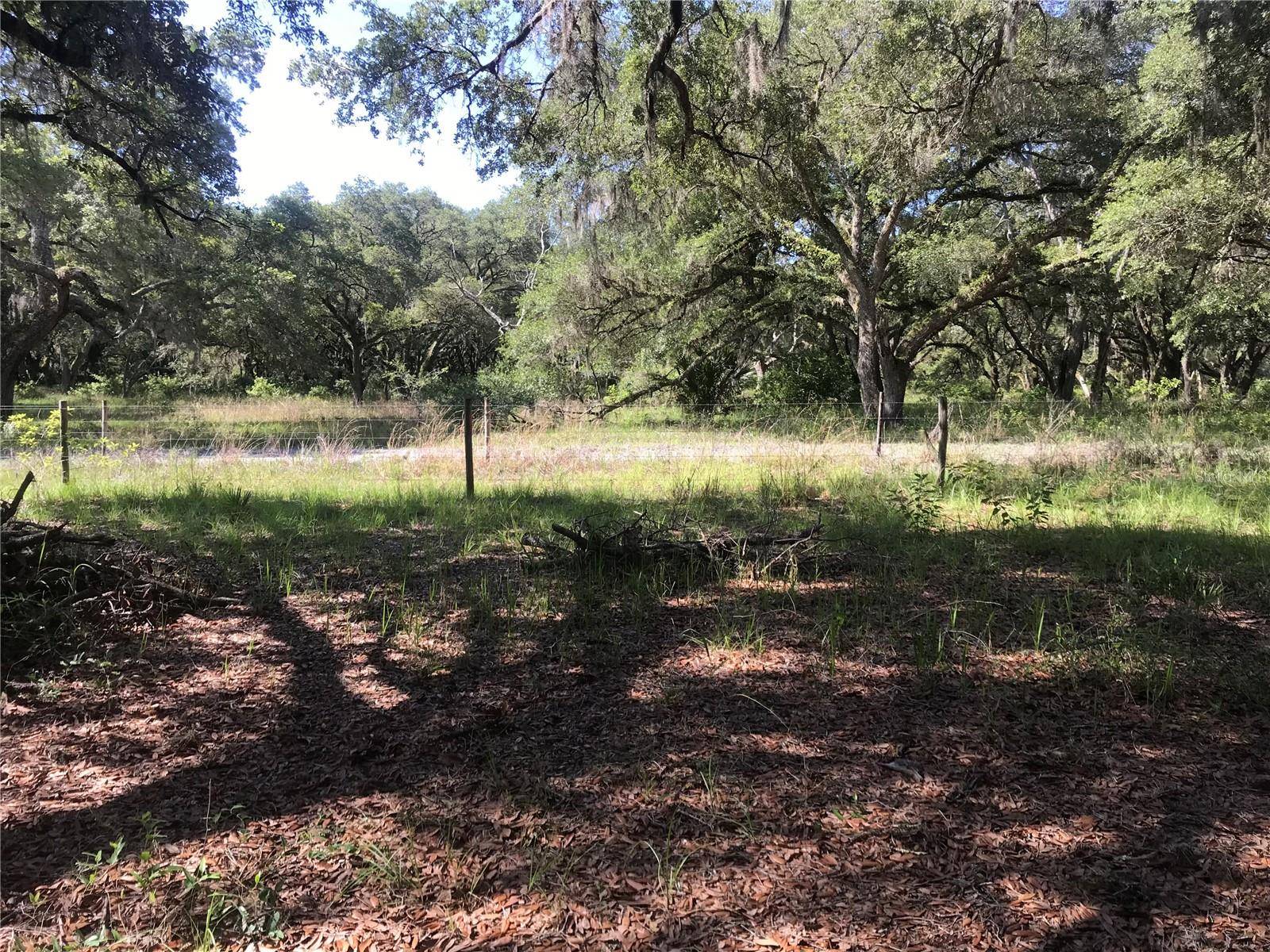 01 UNNAMED, Spring Hill, FL 34610