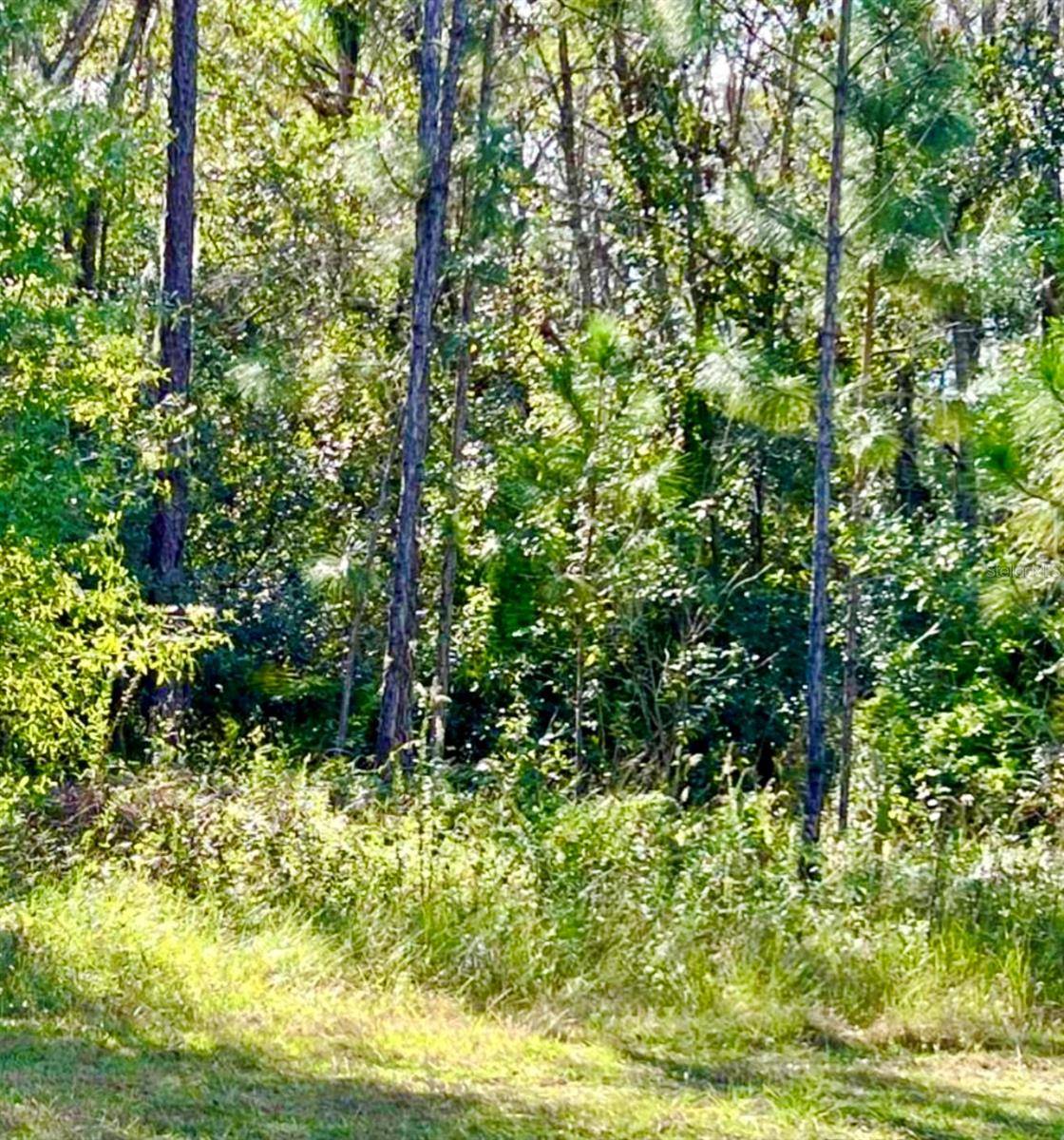 1011 INDIAN LAKE DR, Indian Lake Estates, FL 33855