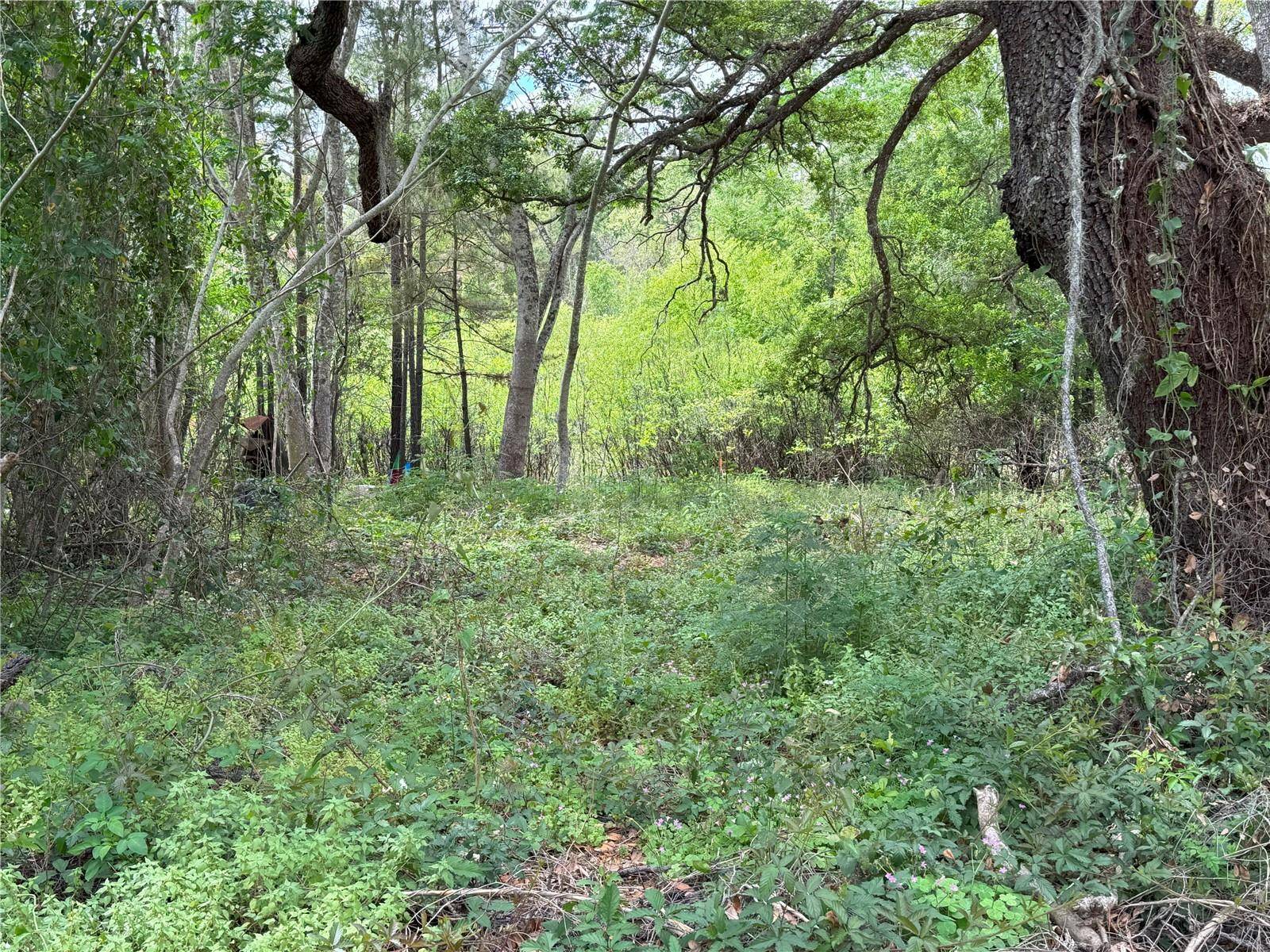 3221 DUBLIN RD, Dade City, FL 33523
