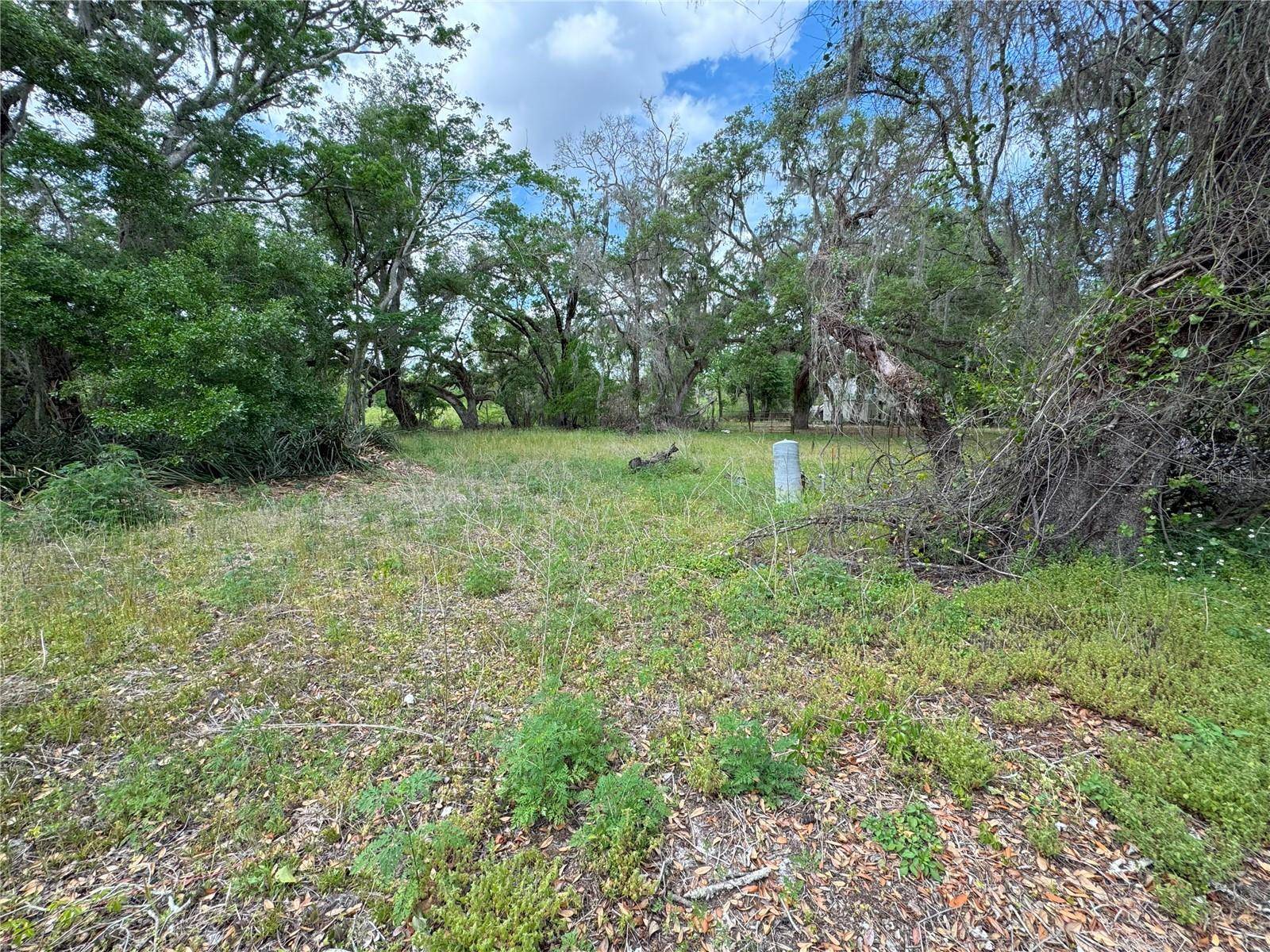 3221 DUBLIN RD, Dade City, FL 33523