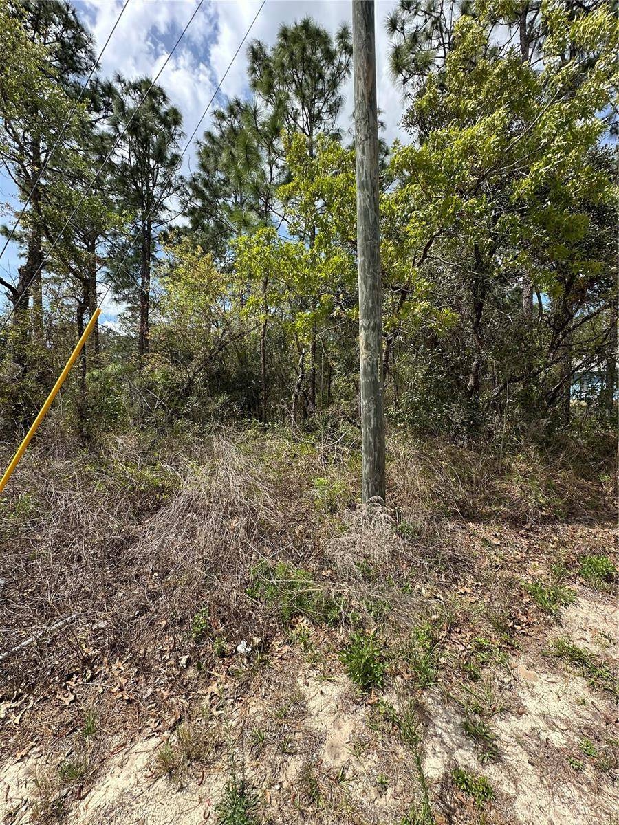 2 FRINGETREE CT, Homosassa, FL 34446