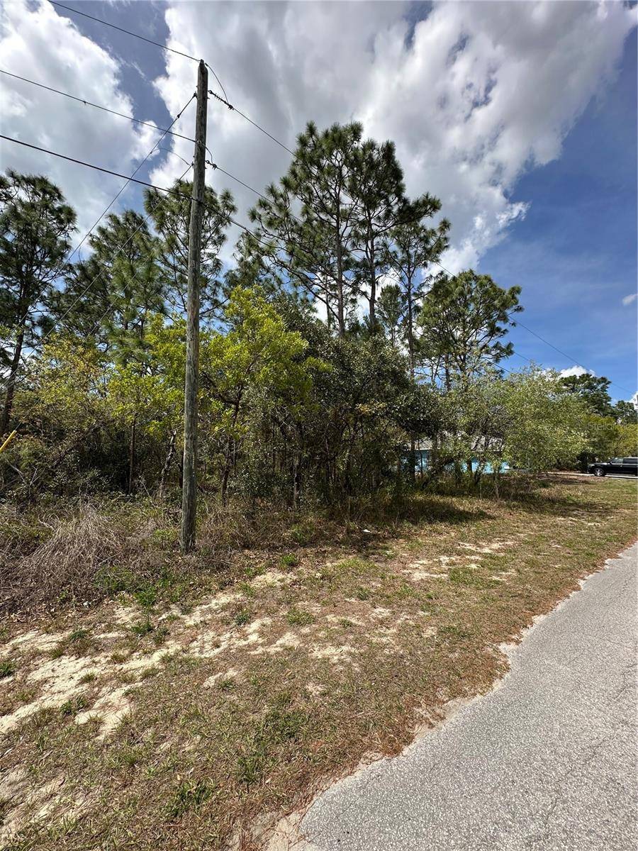 2 FRINGETREE CT, Homosassa, FL 34446