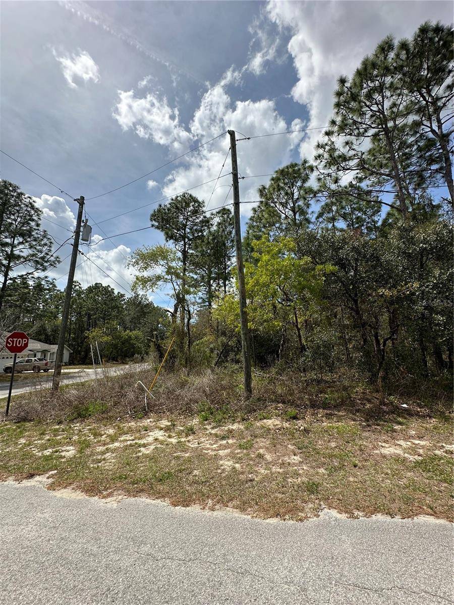 2 FRINGETREE CT, Homosassa, FL 34446