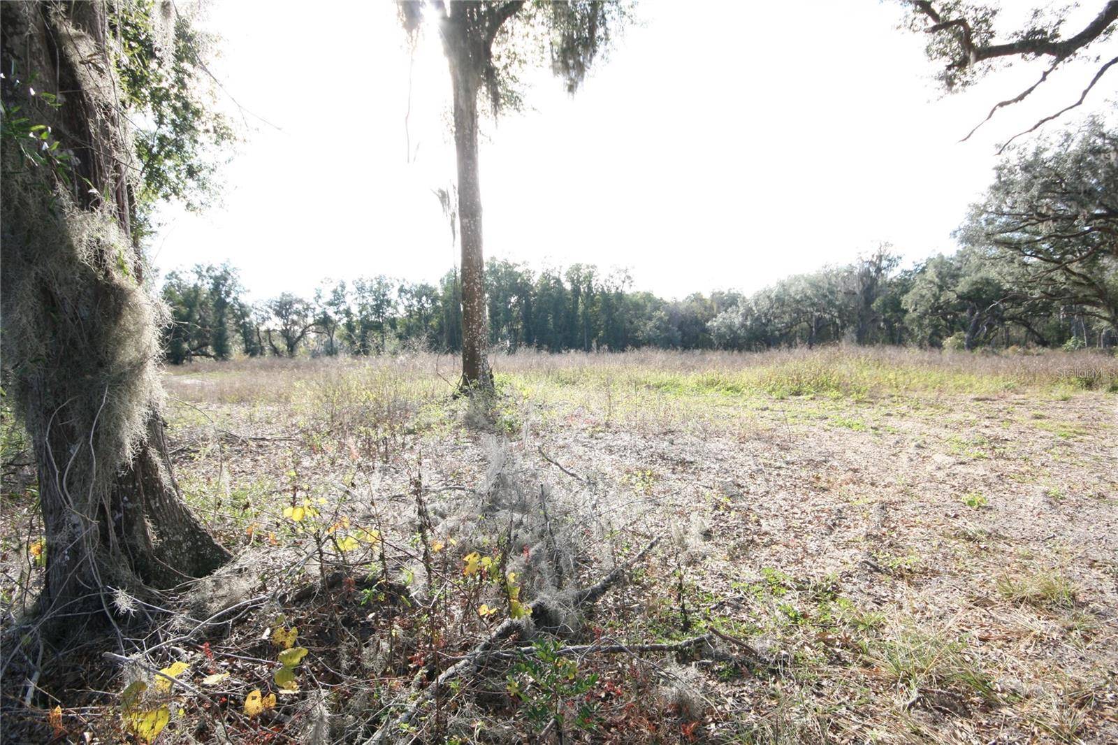 US HWY 301-18 ACRES, Citra, FL 32113