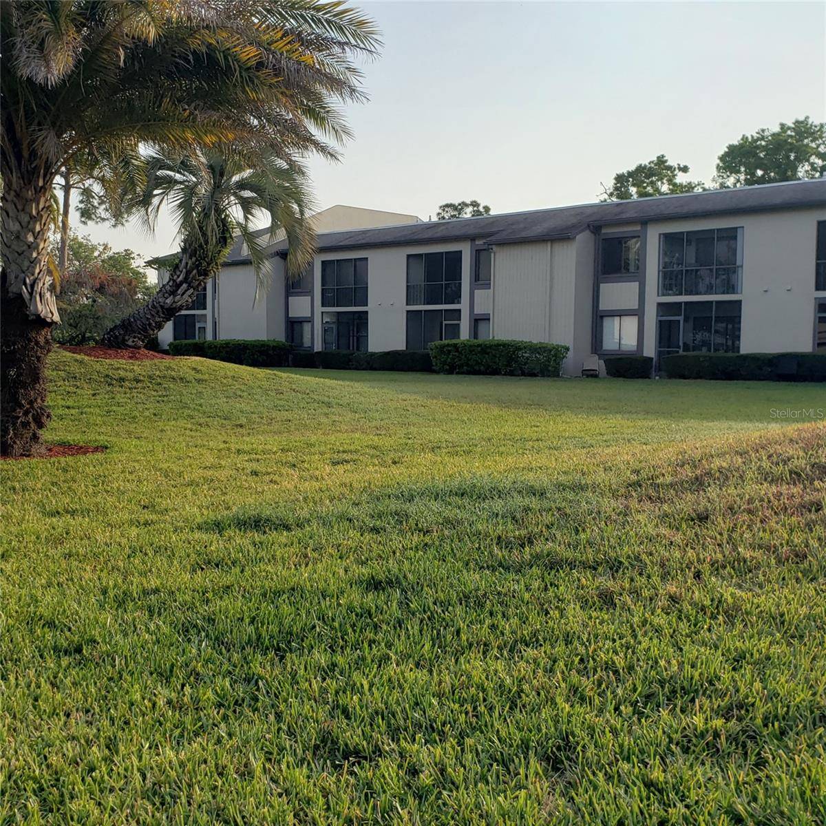 113 NINA WAY #113, Oldsmar, FL 34677