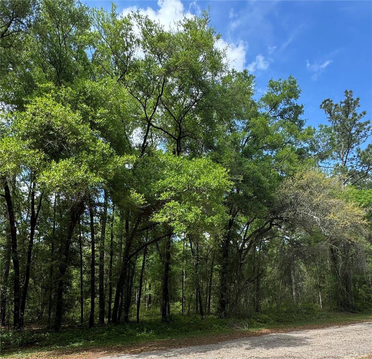 433 E AVONDALE DR, Dunnellon, FL 34434