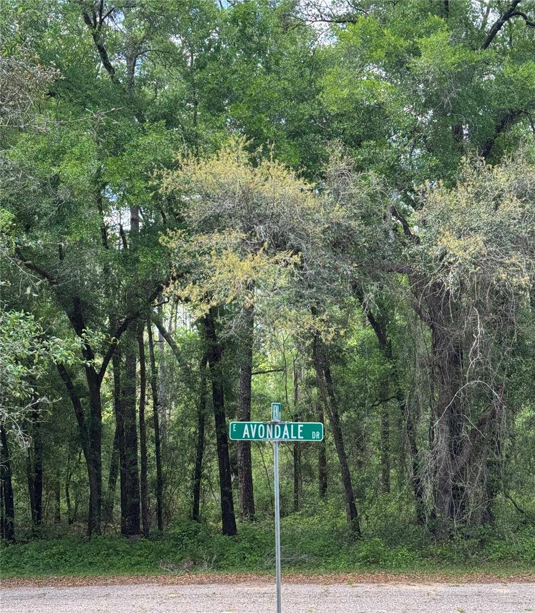 455 E AVONDALE DR, Dunnellon, FL 34434