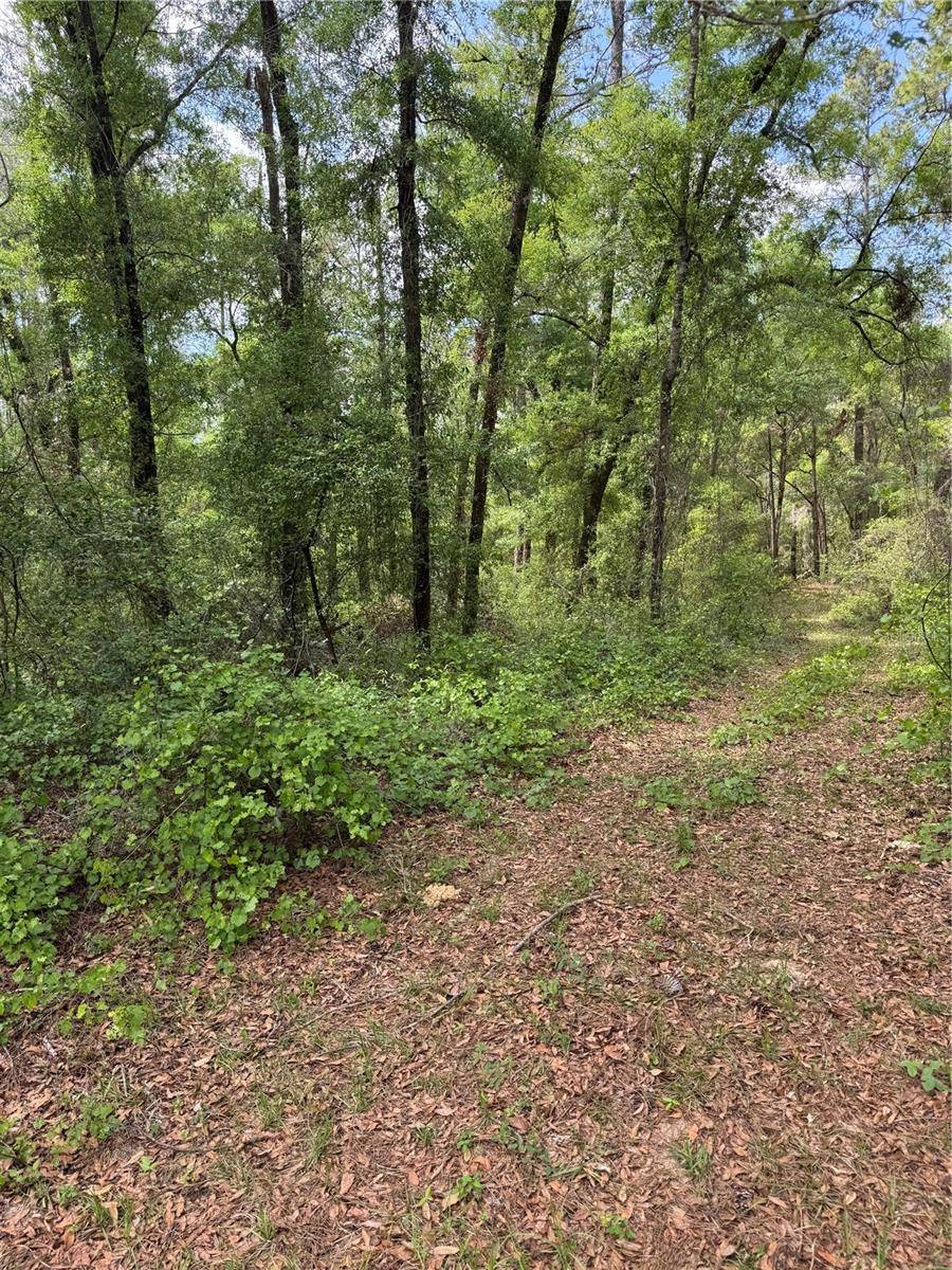 455 E AVONDALE DR, Dunnellon, FL 34434