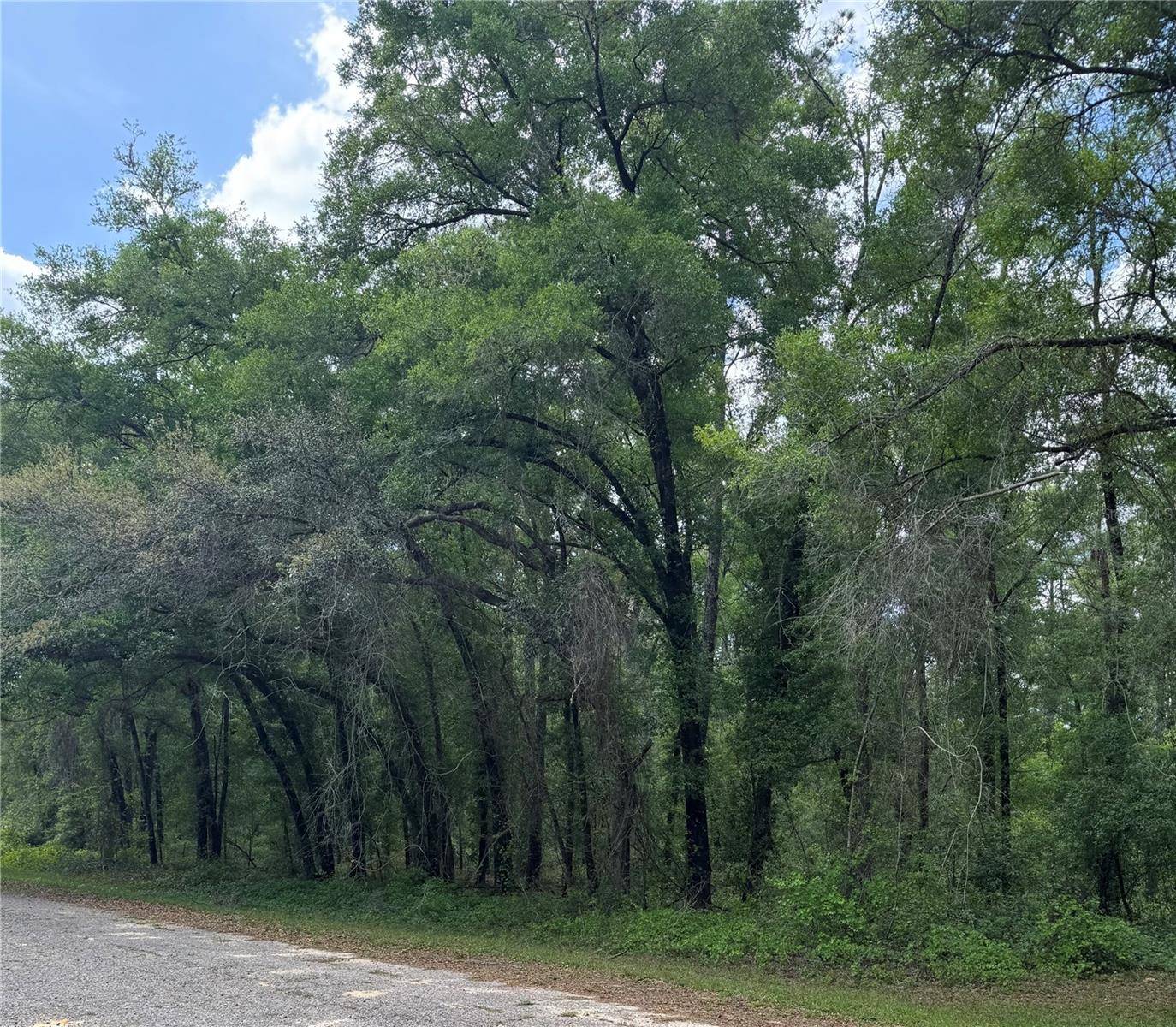 455 E AVONDALE DR, Dunnellon, FL 34434