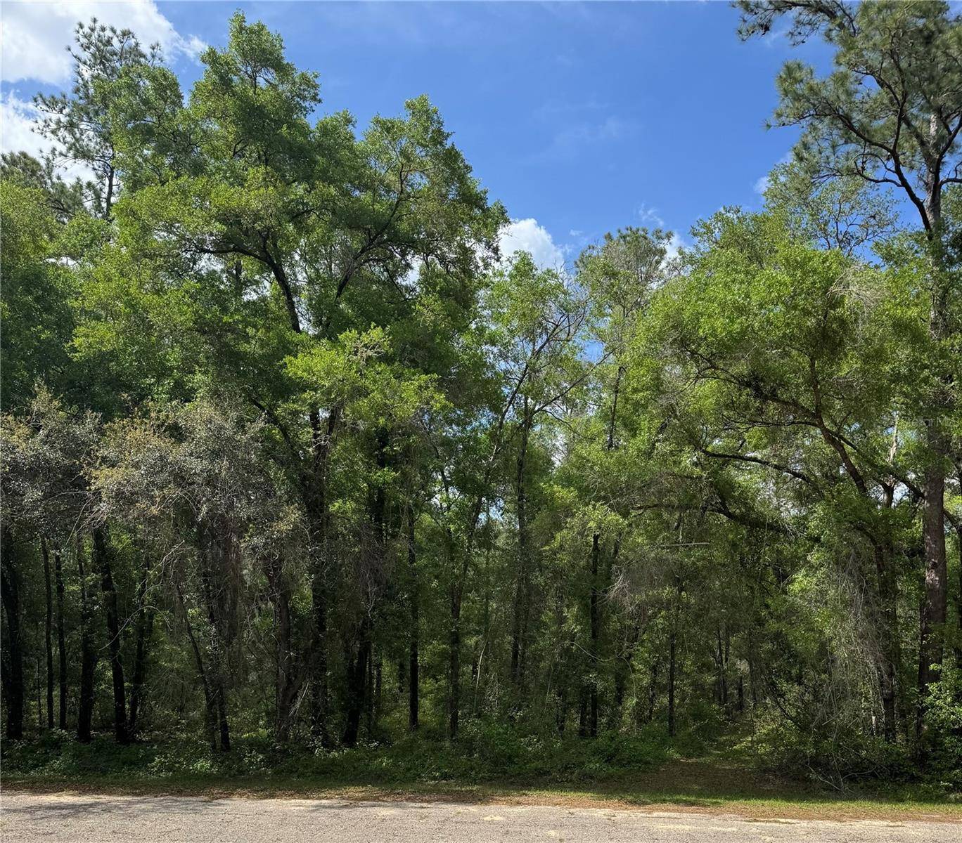 455 E AVONDALE DR, Dunnellon, FL 34434