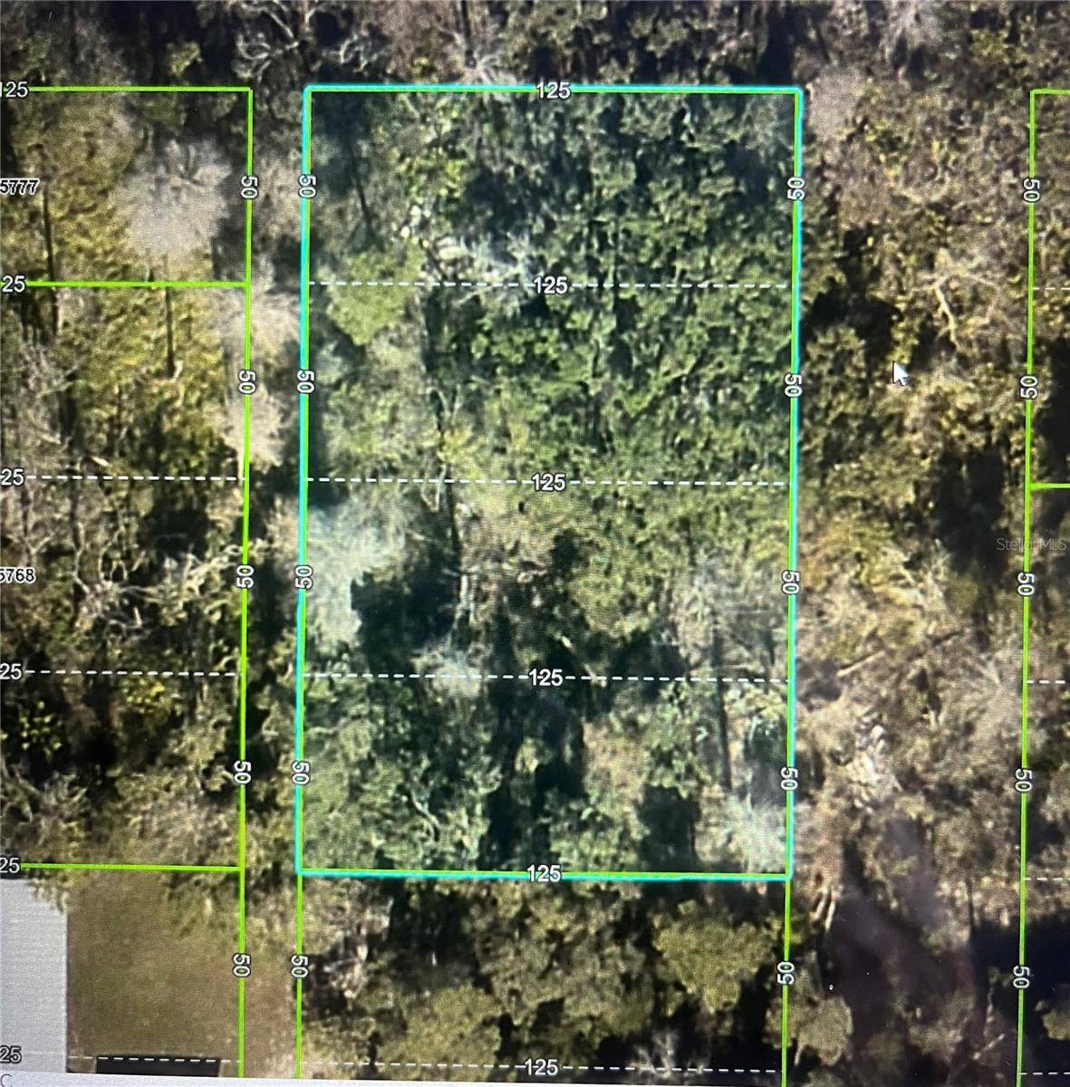LAS PALMAS AVE, Spring Hill, FL 34606