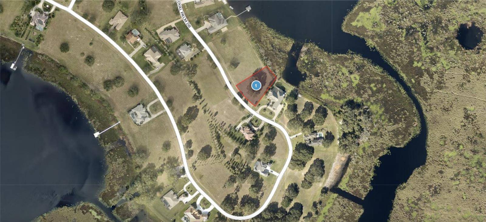 Lot 39 ROYAL PALM DR, Groveland, FL 34736
