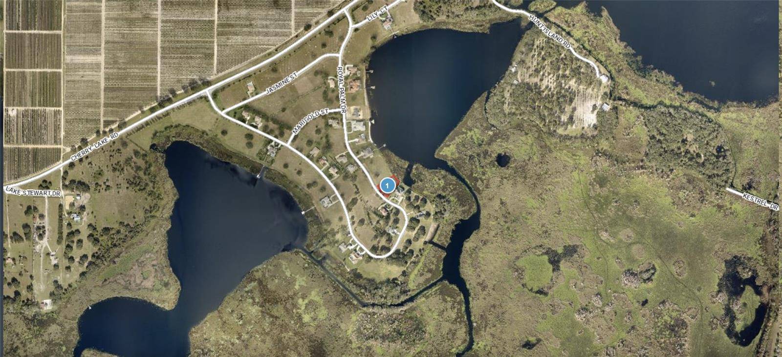 Lot 39 ROYAL PALM DR, Groveland, FL 34736