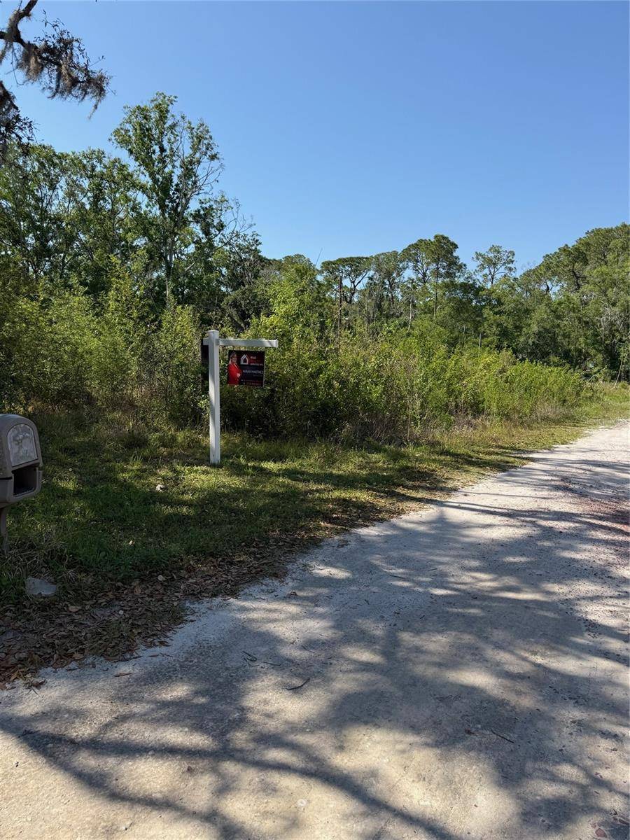 ELZA ST, New Port Richey, FL 34654