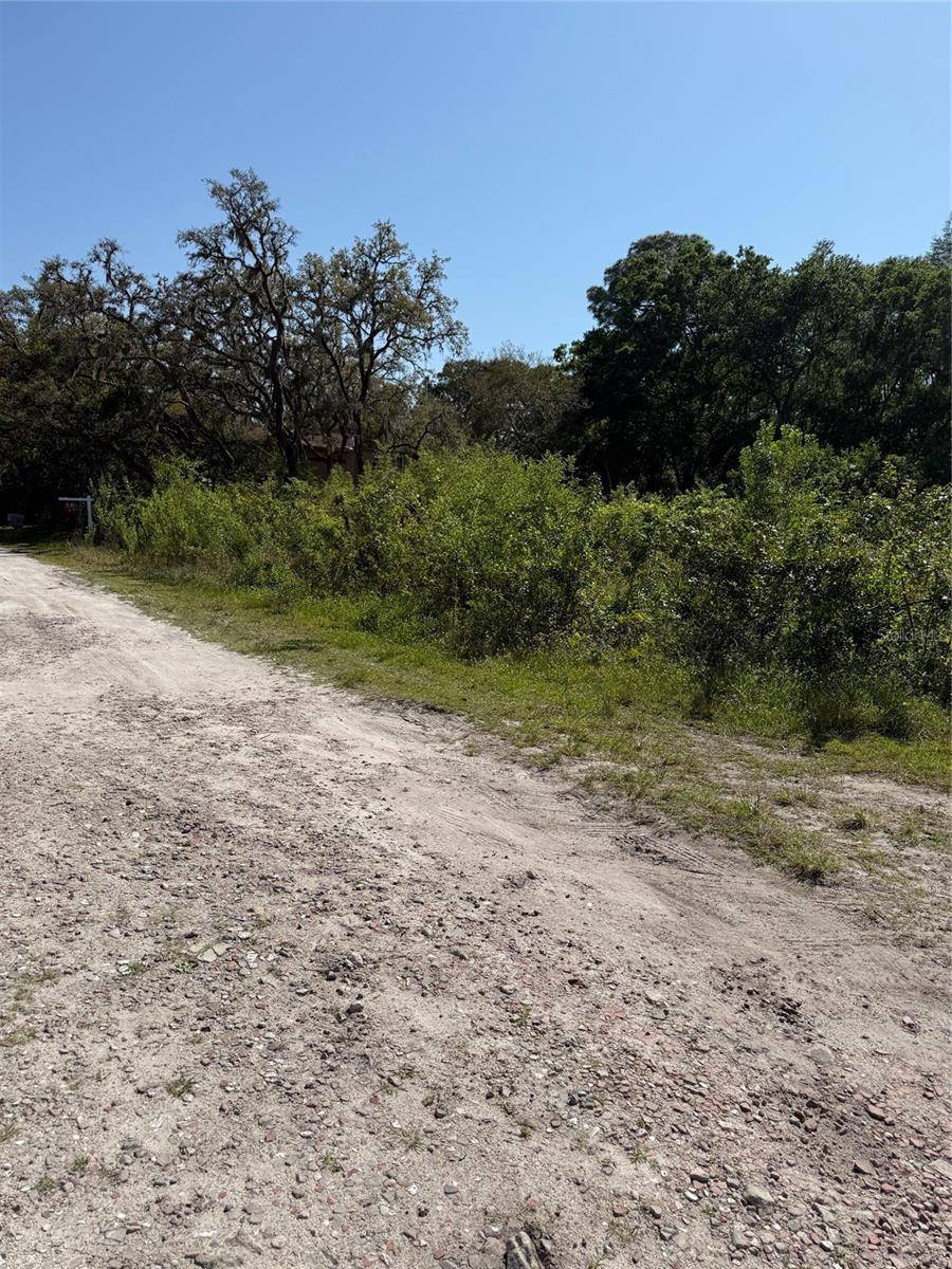 ELZA ST, New Port Richey, FL 34654