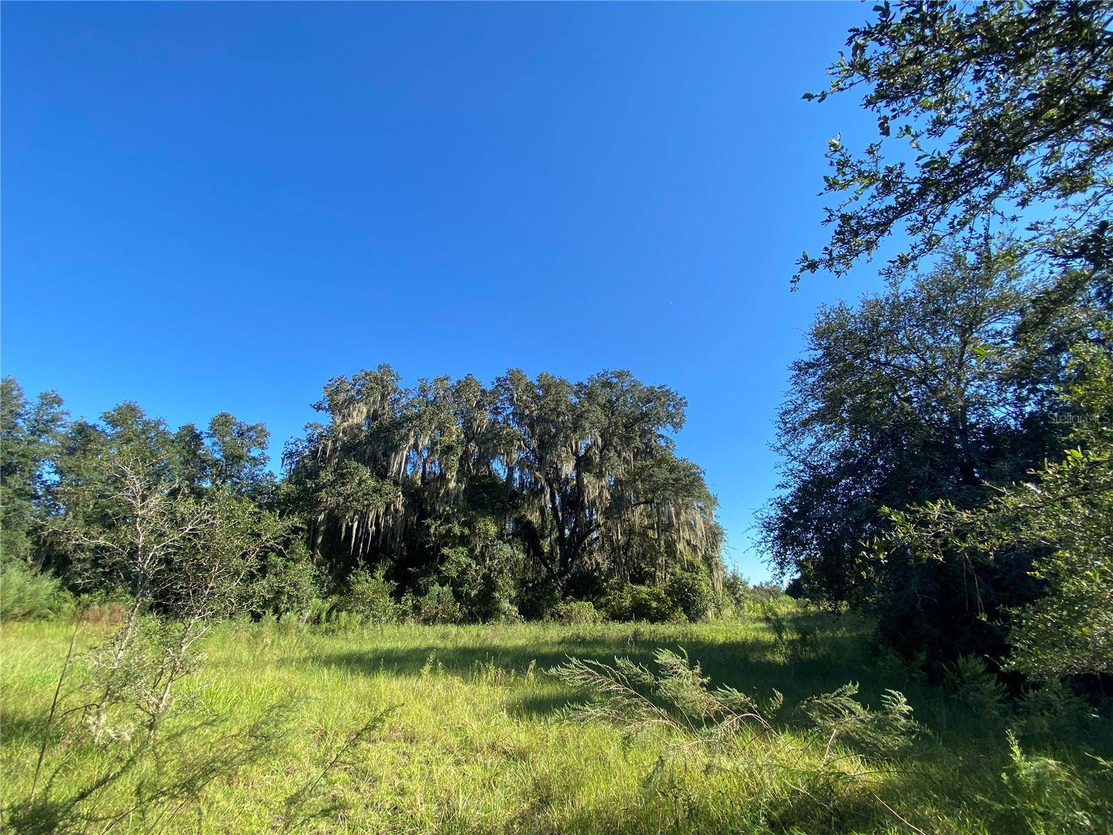 8701 S FRUITION AVE, Floral City, FL 34436