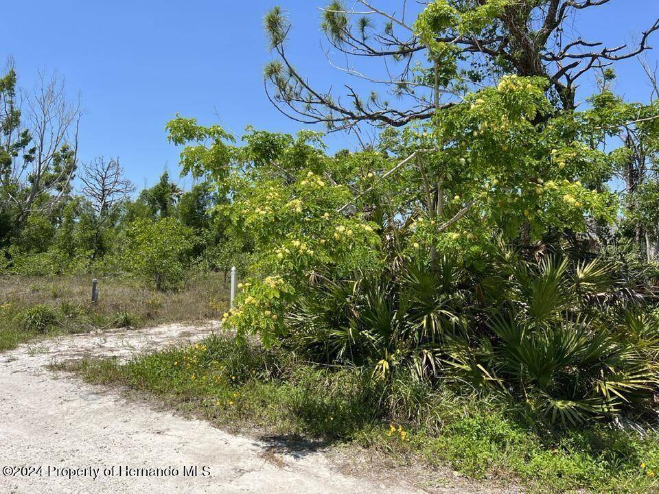 3714 MYERS LN, St James City, FL 33956