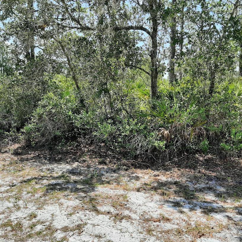 211 CAMELLIA DR, Indian Lake Estates, FL 33855