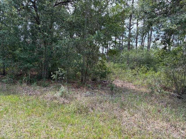 213 PLUMOSA DR, Indian Lake Estates, FL 33855