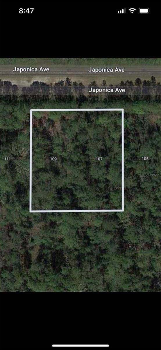 109 JAPONICA AVE, Indian Lake Estates, FL 33855