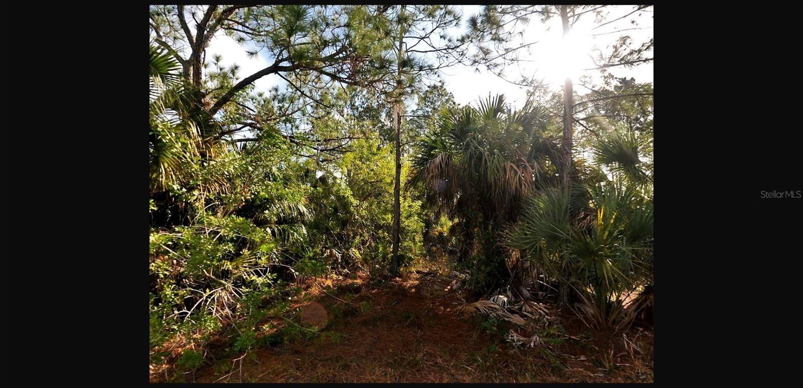 SERNICE ST, North Port, FL 34288