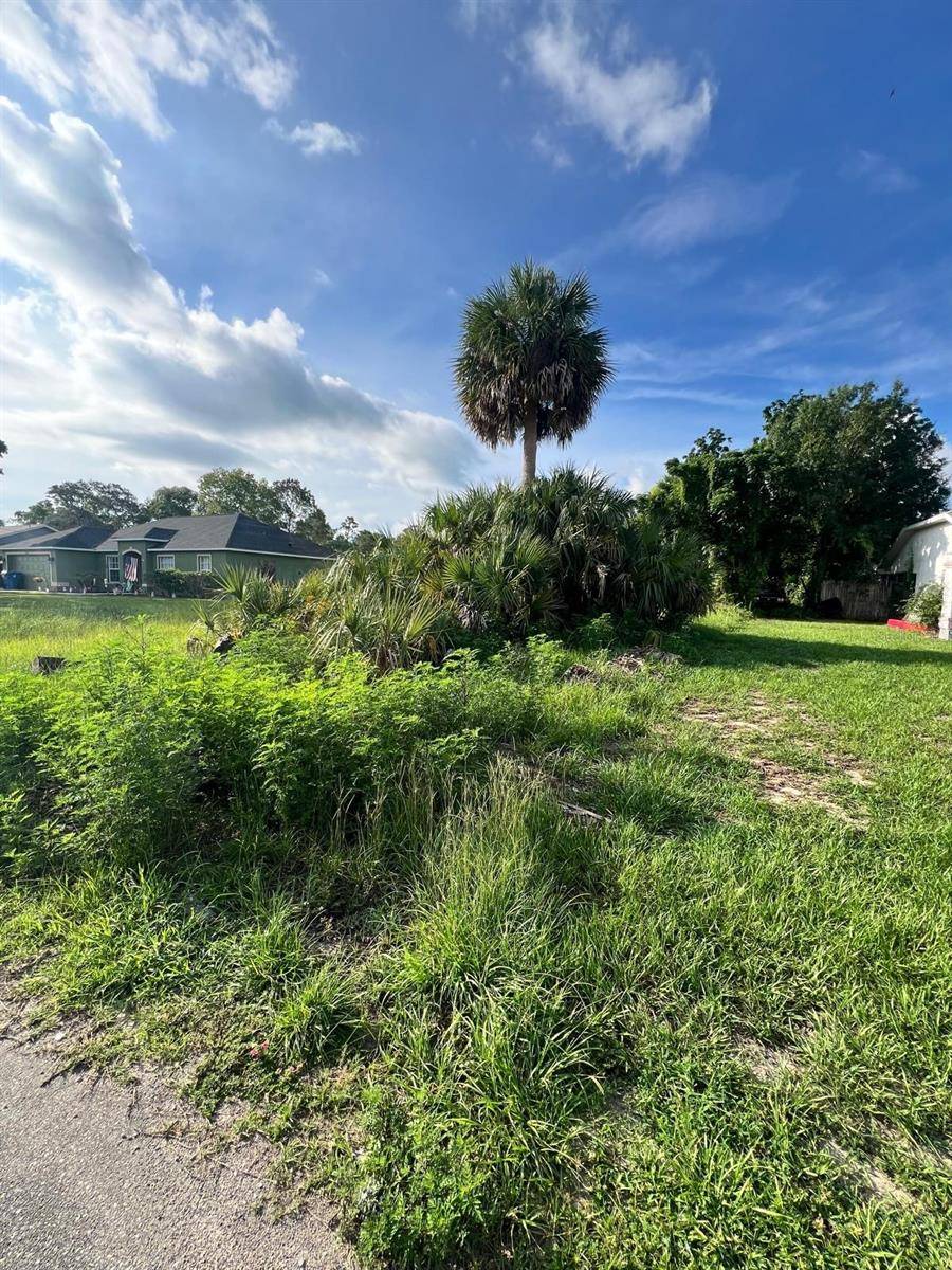 12454 MONTEGO ST, Spring Hill, FL 34609
