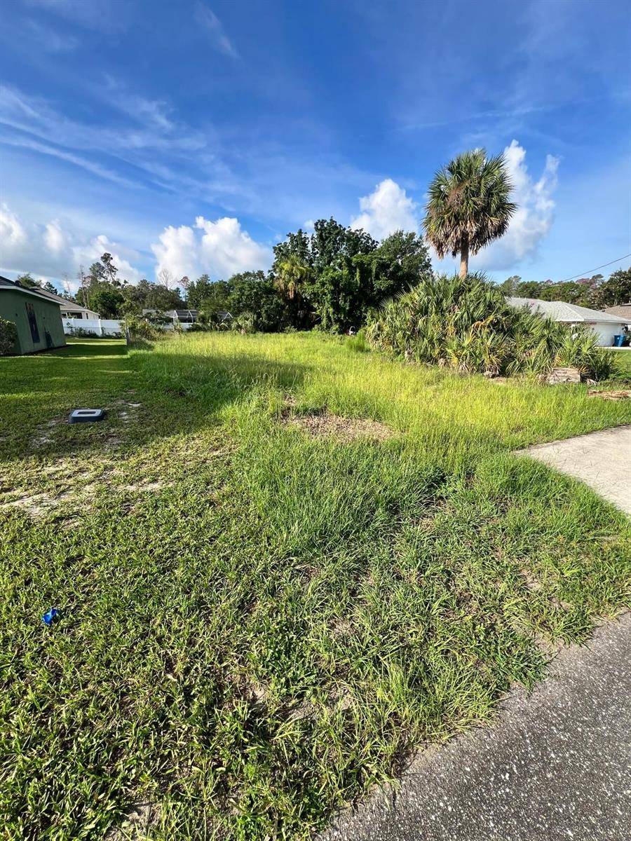 12454 MONTEGO ST, Spring Hill, FL 34609