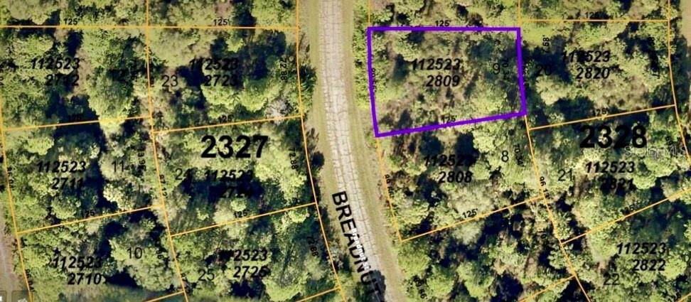 BREADNUT ST, North Port, FL 34288