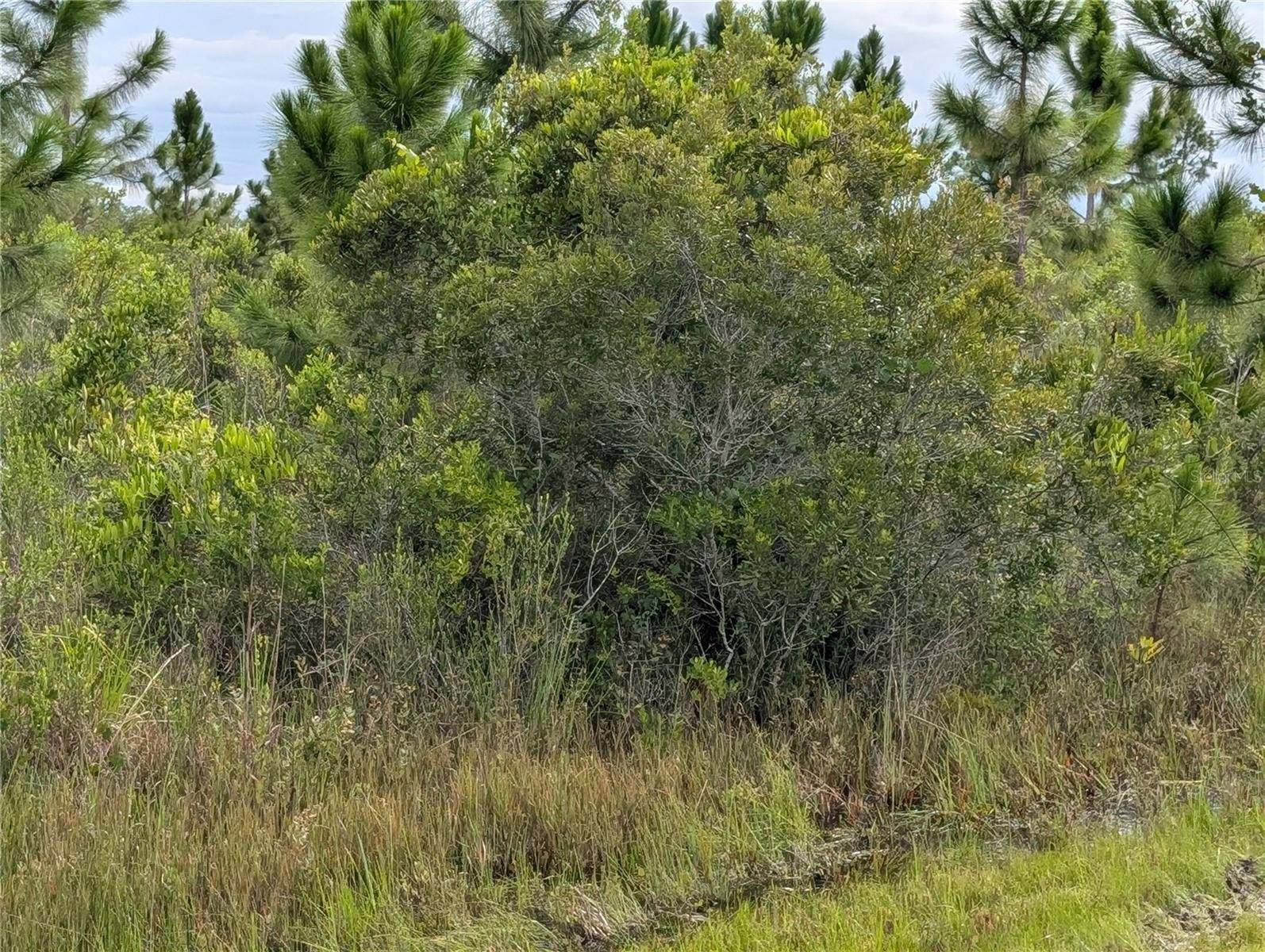 213 BELMONTE DR, Indian Lake Estates, FL 33855