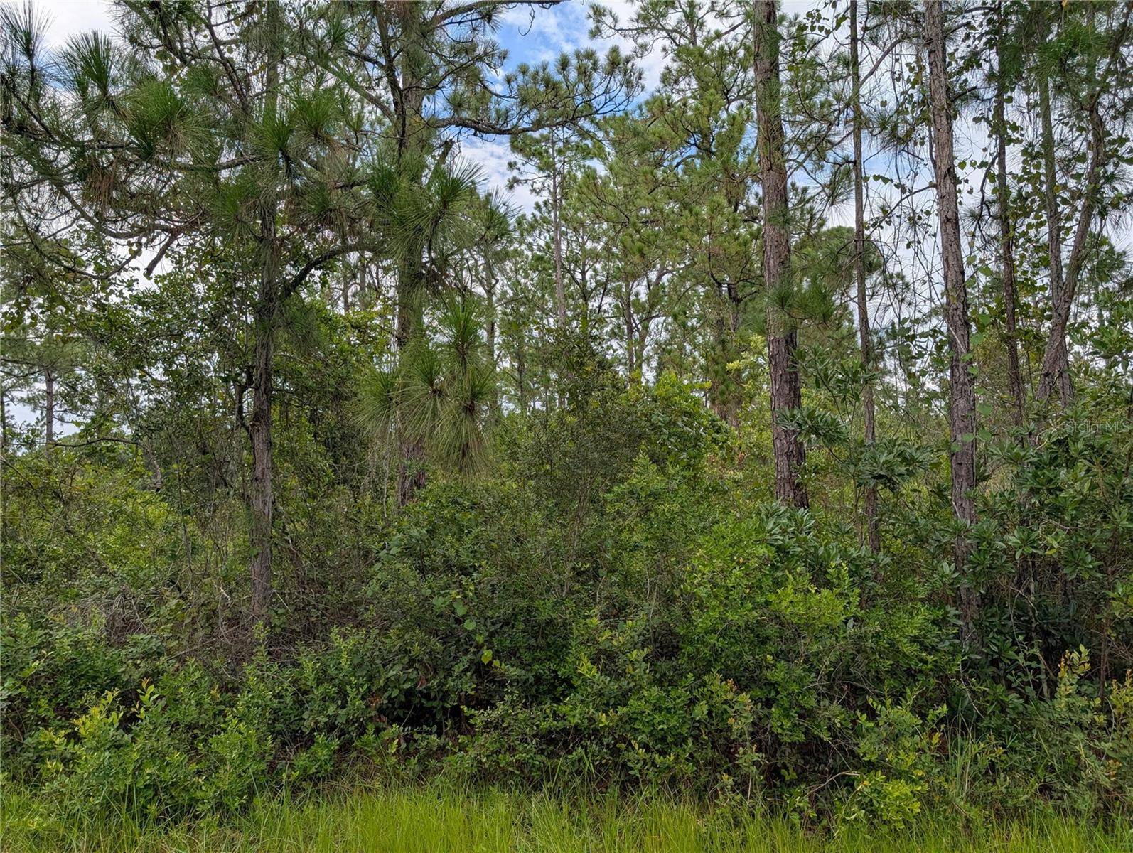 302 PANDORA DR, Indian Lake Estates, FL 33855