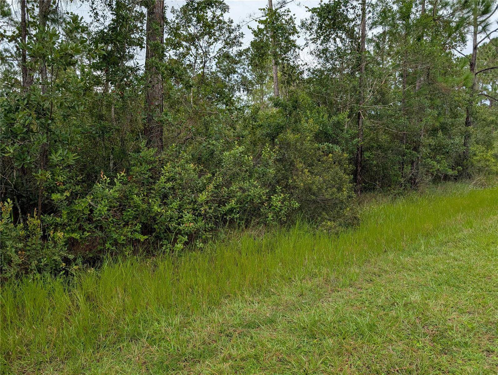 302 PANDORA DR, Indian Lake Estates, FL 33855