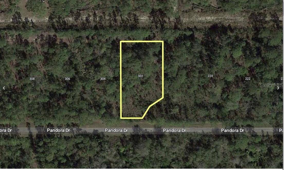 303 JAPONICA AVE, Indian Lake Estates, FL 33855