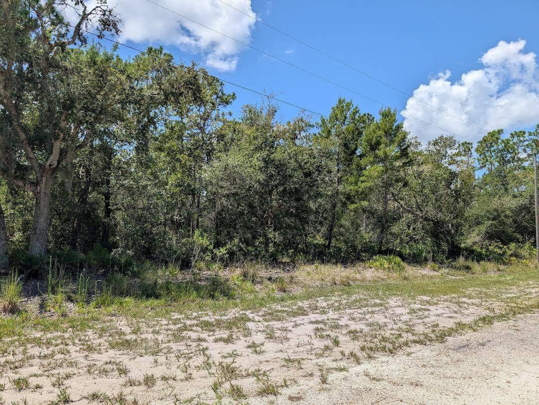 1113 TROPICANA DR, Indian Lake Estates, FL 33855