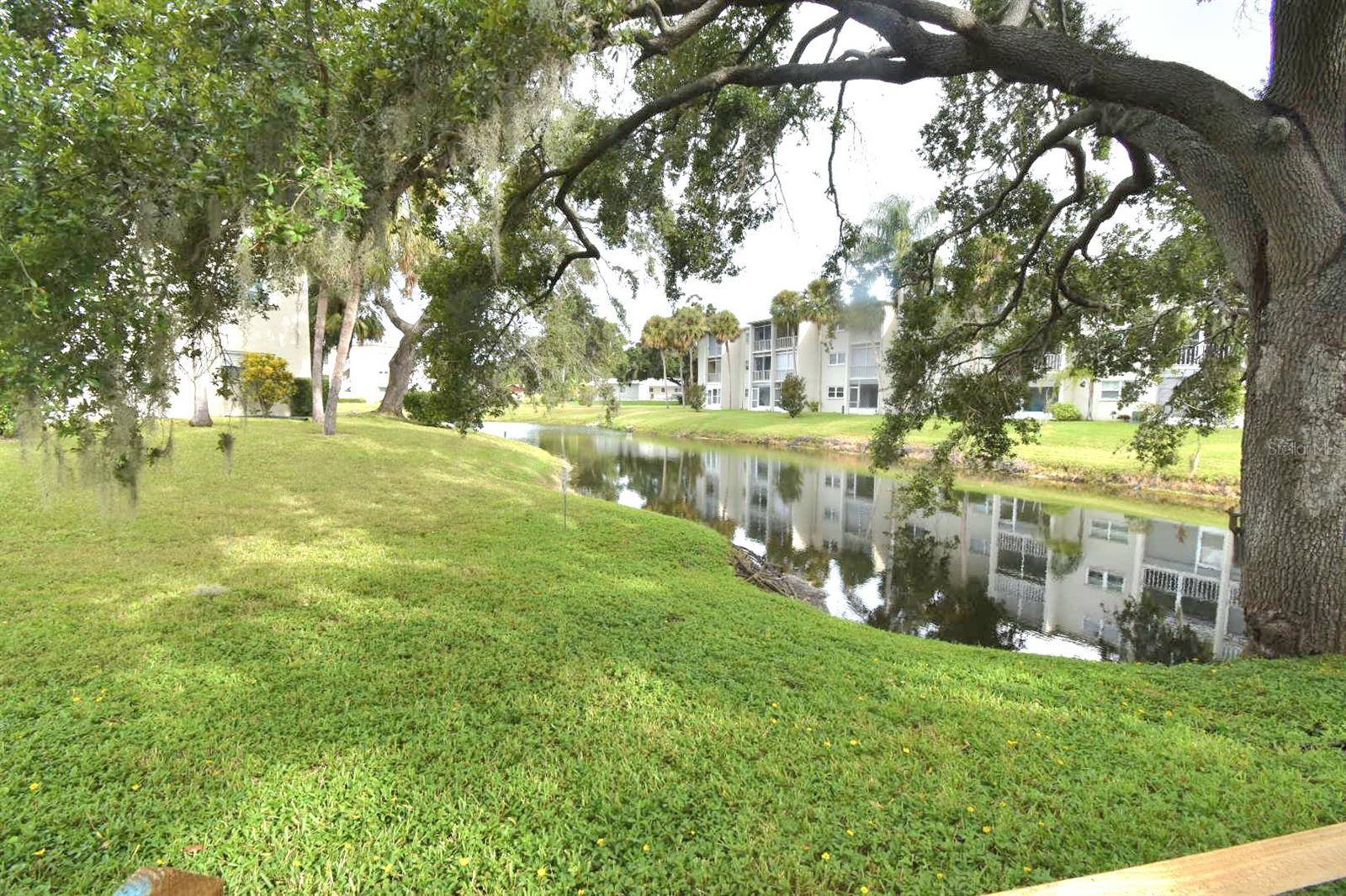 940 VIRGINIA ST #108, Dunedin, FL 34698