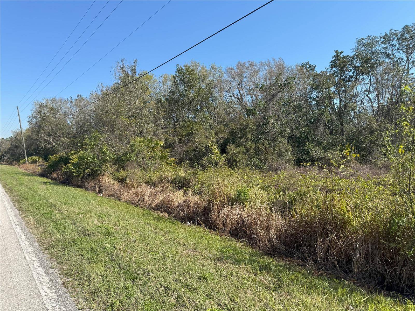 0 LAKE BUFFUM RD, Lake Wales, FL 33859