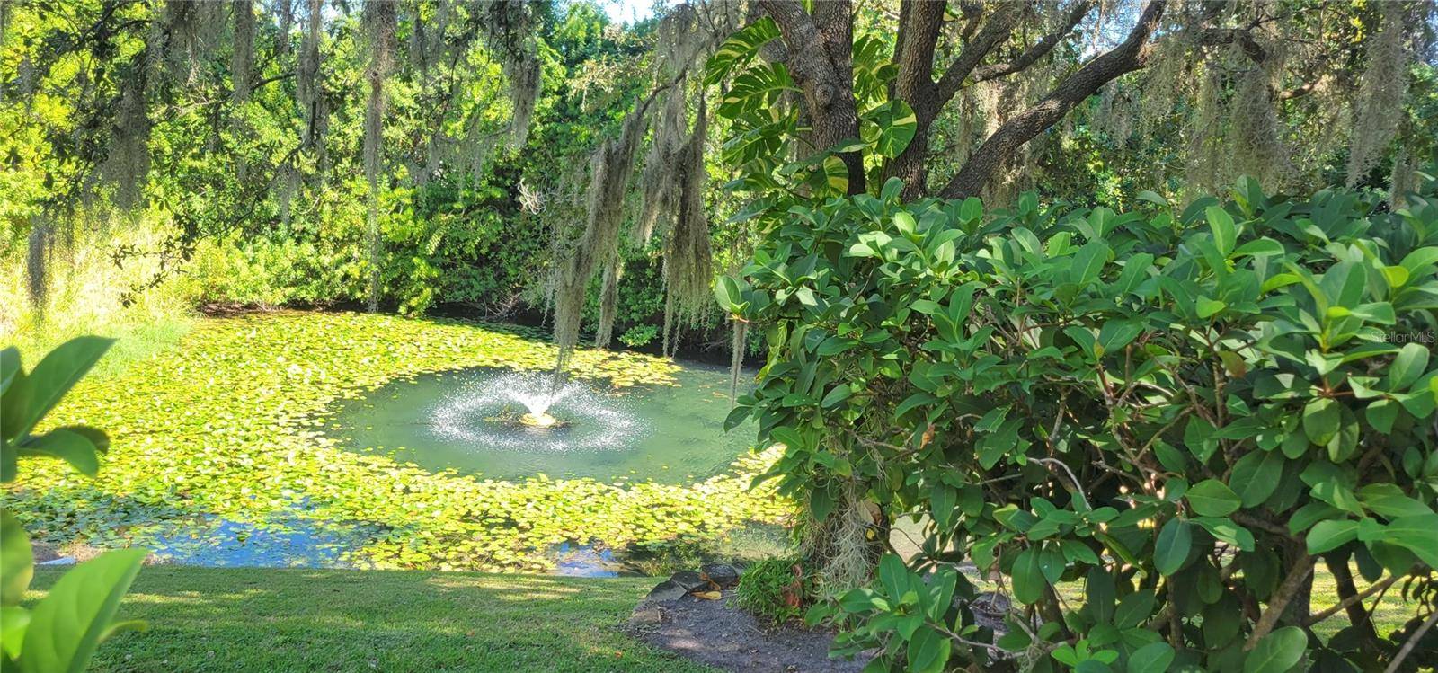 1004 OLD MILL POND RD, Palm Harbor, FL 34683