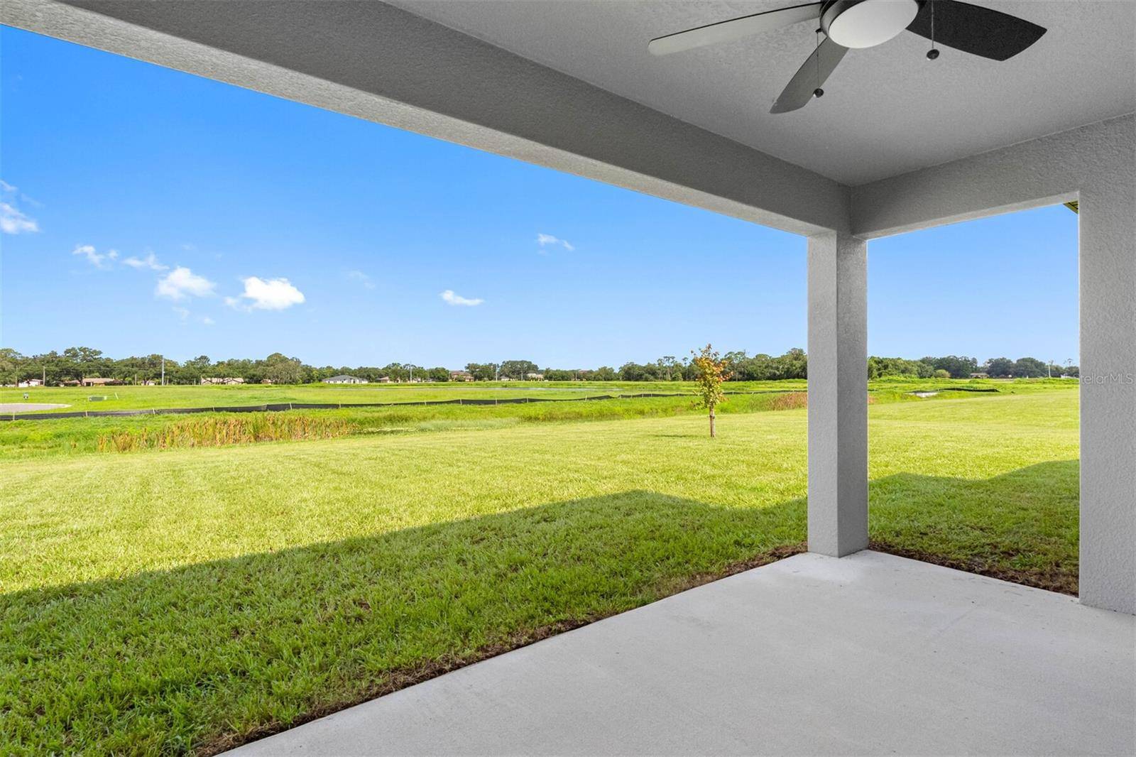13501 WALDEN SHEFFIELD RD, Dover, FL 33527