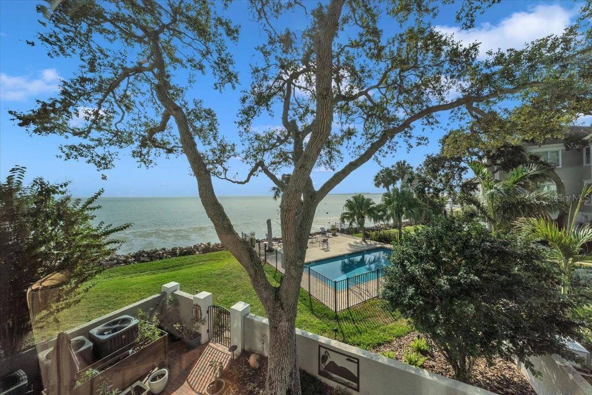 6212 BAYSHORE BLVD #K, Tampa, FL 33611