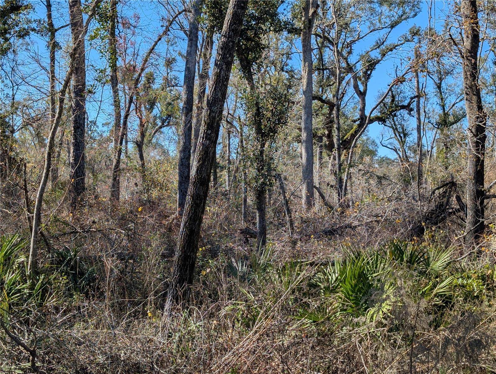 NW FOX RUN TRL #107, Mayo, FL 32066