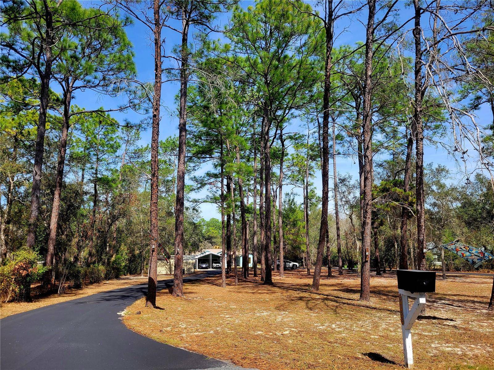 9153 MICHIGAN AVE, Weeki Wachee, FL 34613