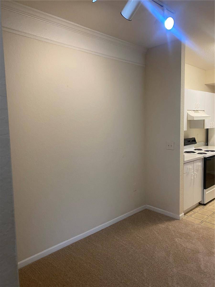 17106 CARRINGTON PARK DR #607, Tampa, FL 33647