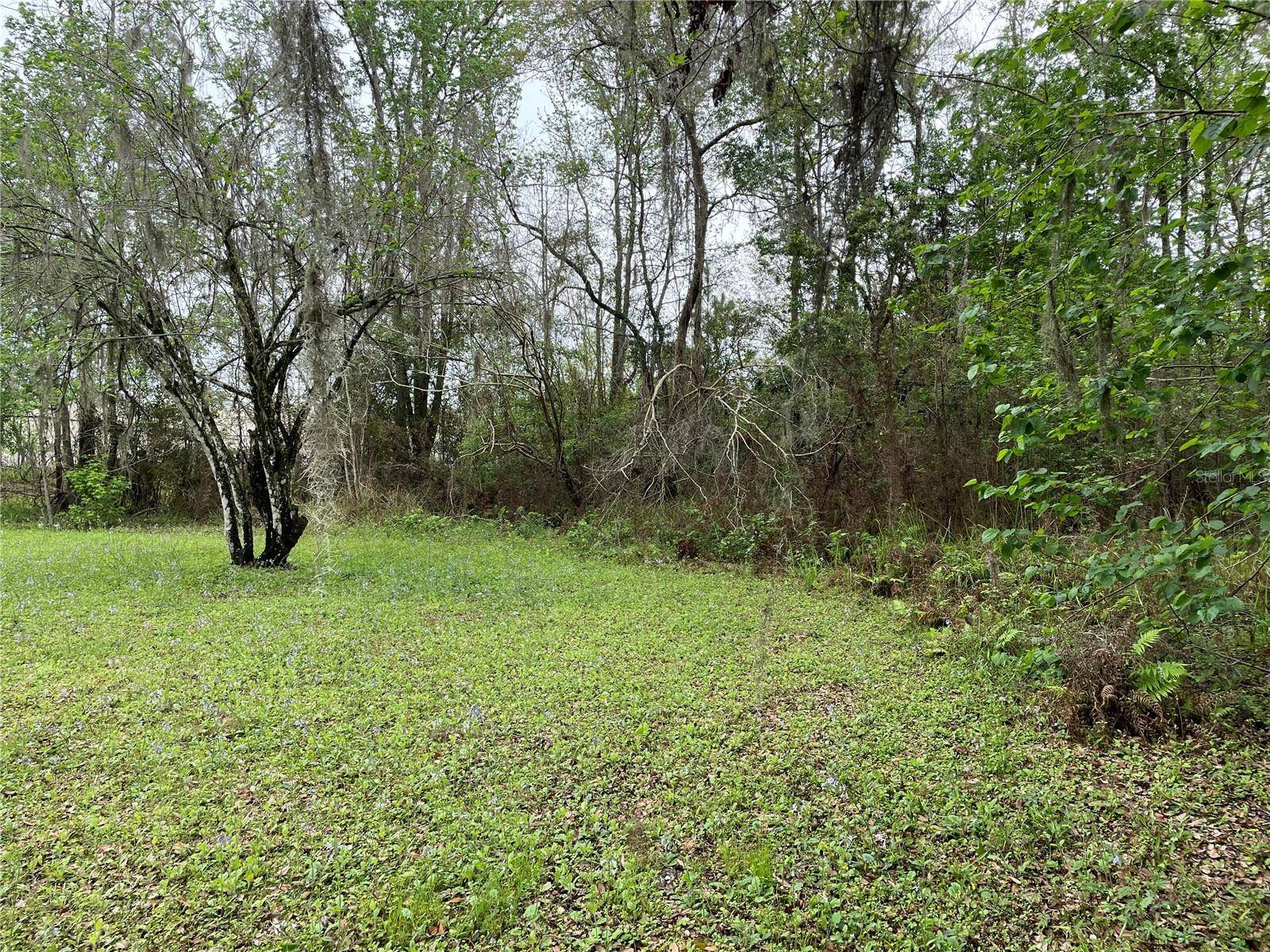 7419 BUCK HOPE RD, Brooksville, FL 34601