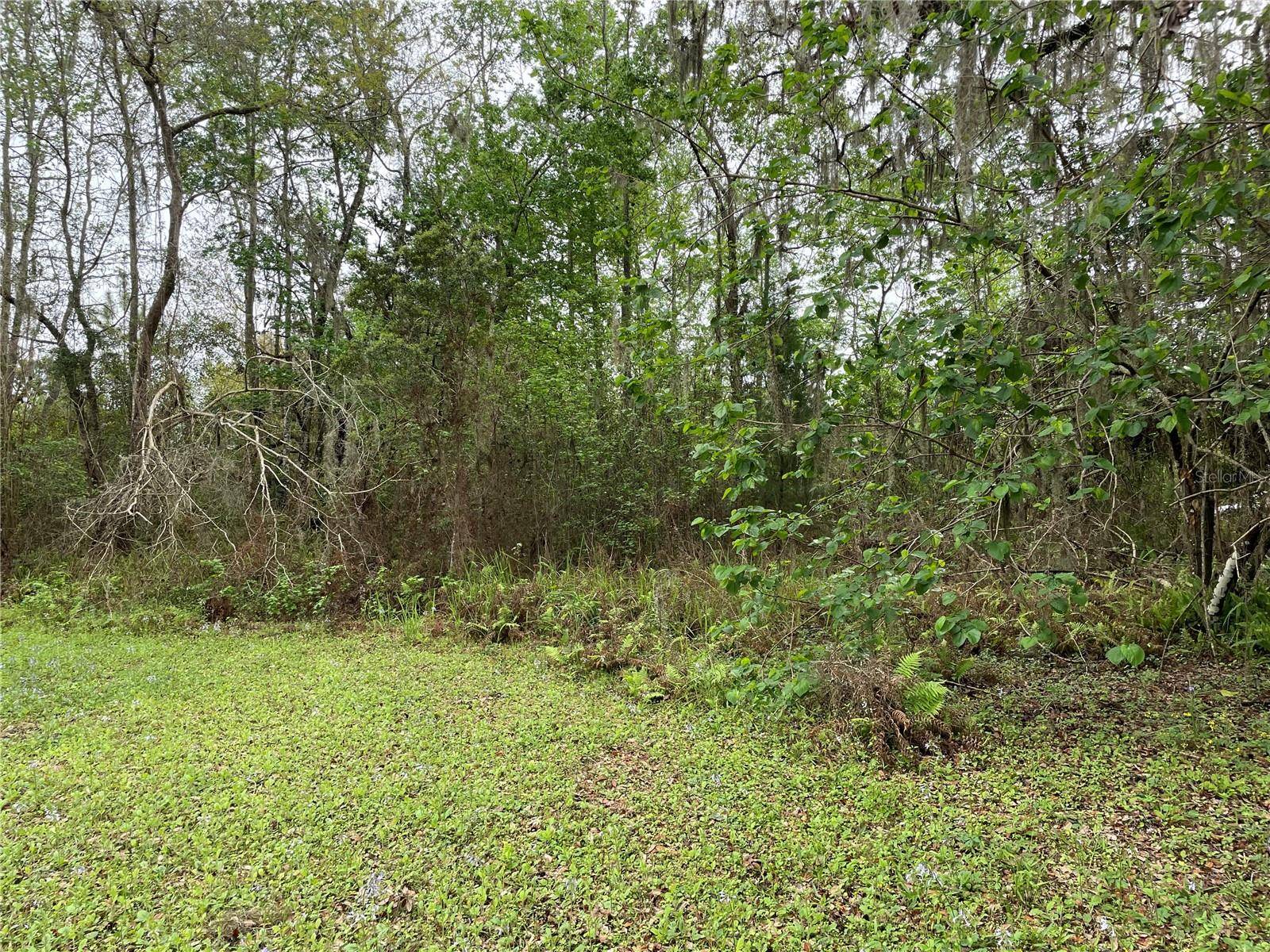 7419 BUCK HOPE RD, Brooksville, FL 34601