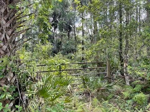 8107 W MAYFAIR DR, Homosassa, FL 34448