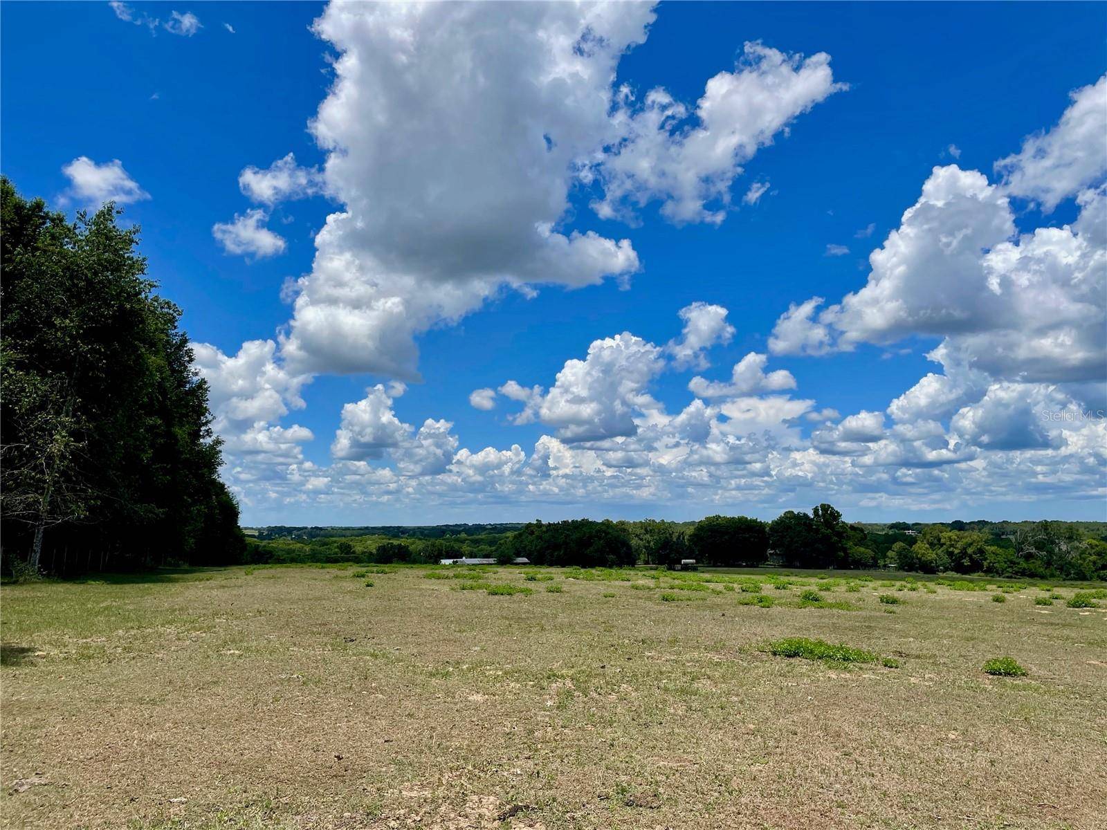 PARRISH GROVE ROAD, Dade City, FL 33523