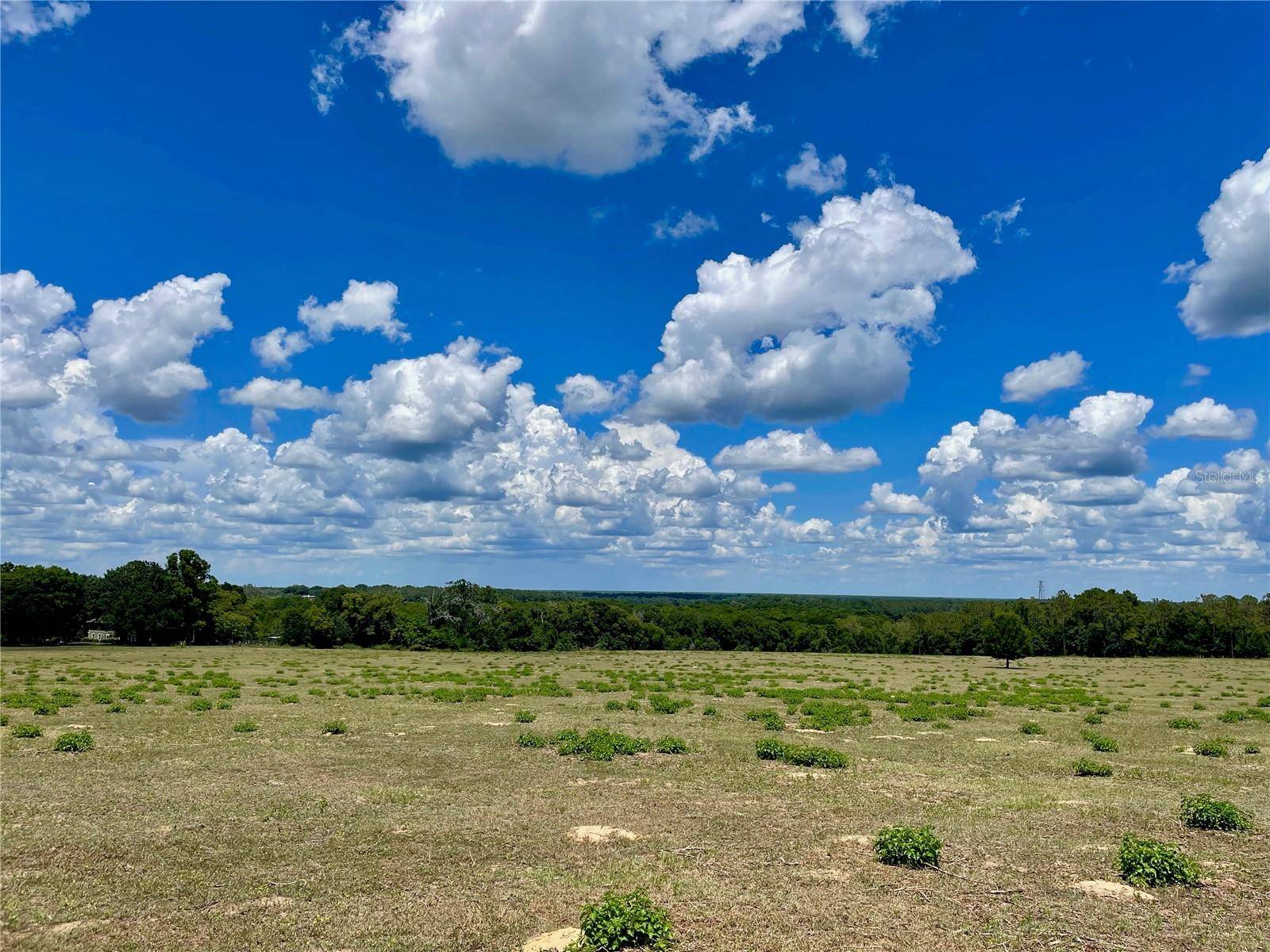 PARRISH GROVE ROAD, Dade City, FL 33523