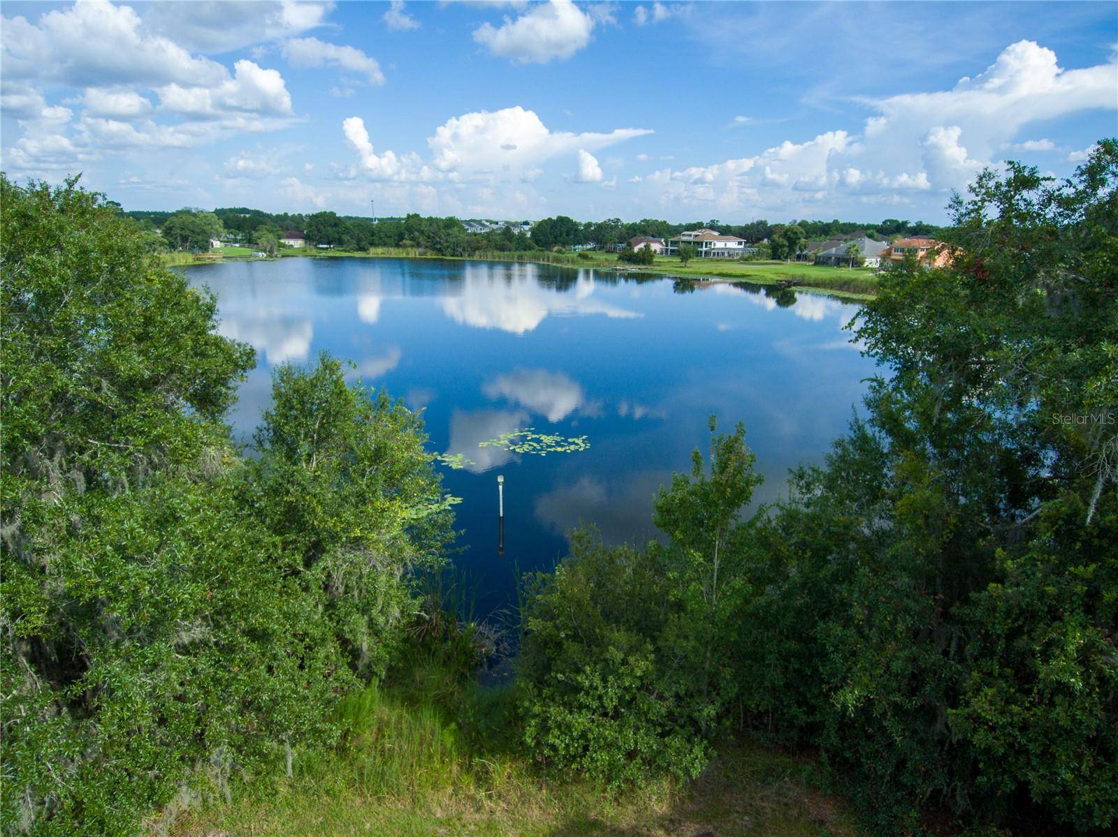 CARSON DR, Land O Lakes, FL 34639