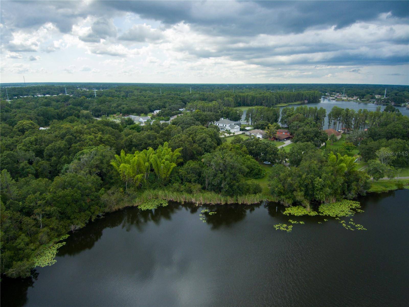 CARSON DR, Land O Lakes, FL 34639